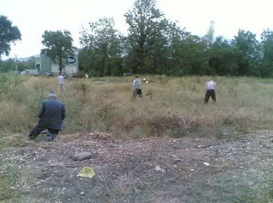 9641230_kmkz44201.jpg