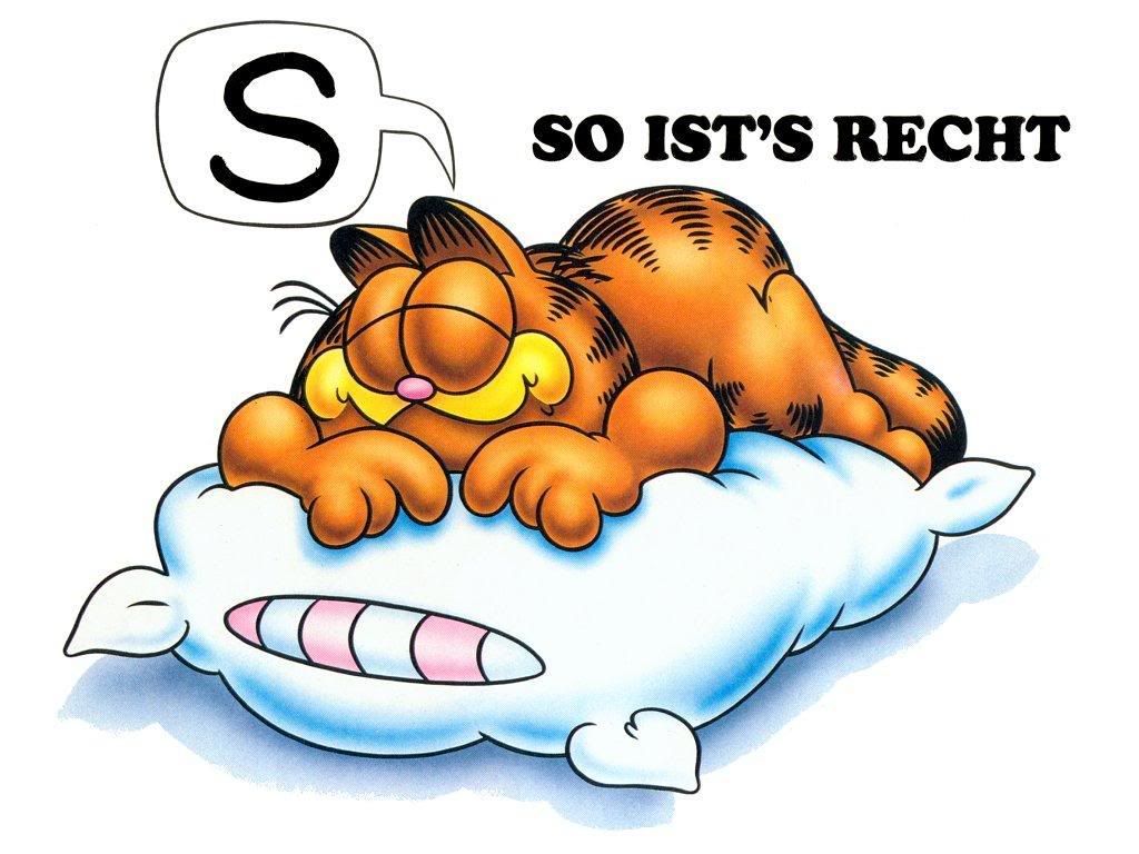 garfield_5.jpg