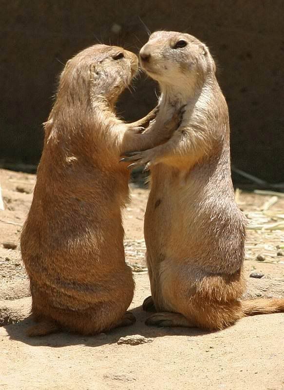 in_love_008.jpg