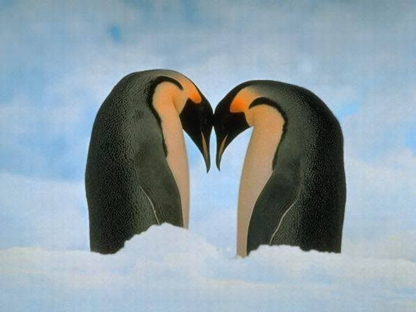 in_love_020.jpg