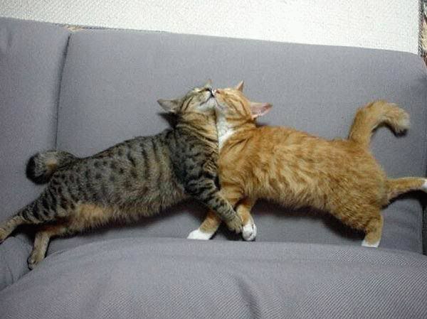 in_love_029.jpg
