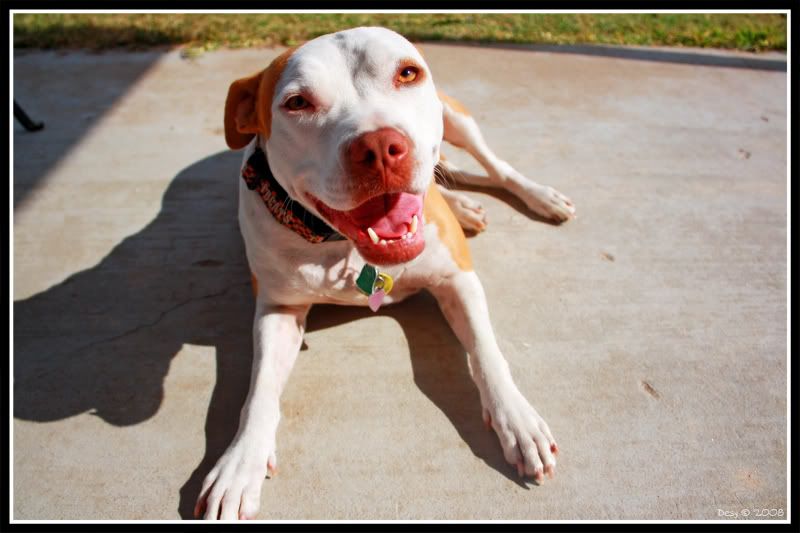 IMAGE: http://i252.photobucket.com/albums/hh29/aschen_engel3/11-4-08/Picture084.jpg