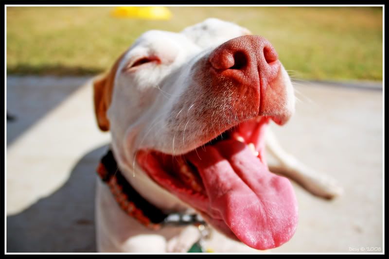 IMAGE: http://i252.photobucket.com/albums/hh29/aschen_engel3/11-4-08/Picture089.jpg