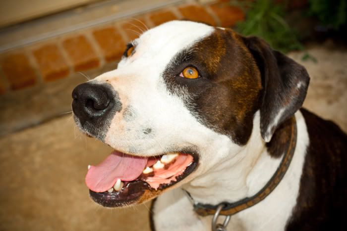 IMAGE: http://i252.photobucket.com/albums/hh29/aschen_engel3/IMG_1623-1copy.jpg