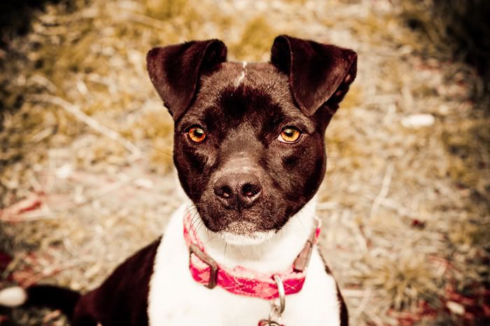 IMAGE: http://i252.photobucket.com/albums/hh29/aschen_engel3/IMG_1629-123.jpg