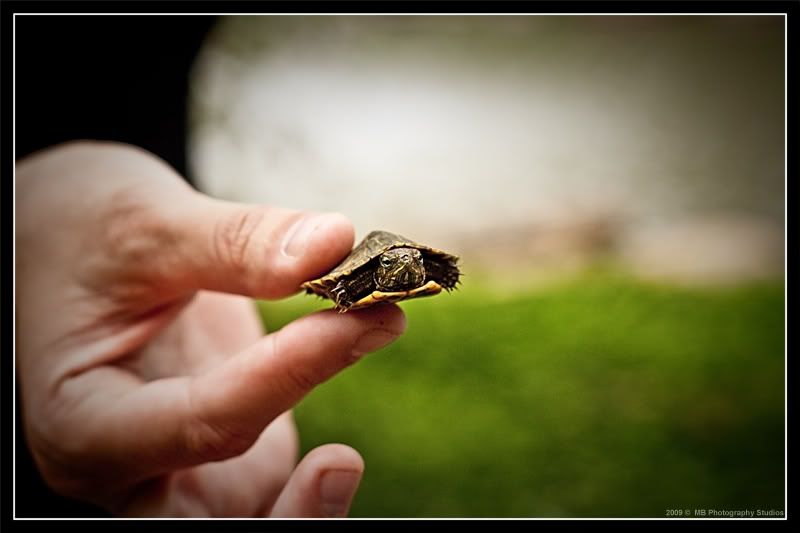 IMAGE: http://i252.photobucket.com/albums/hh29/aschen_engel3/IMG_2055-2sml.jpg