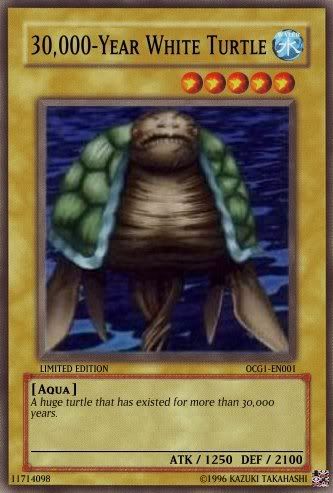 30000-YearWhiteTurtle.jpg