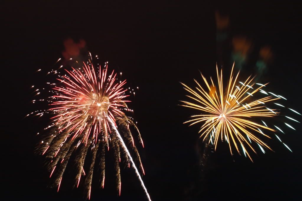 IMAGE: http://i252.photobucket.com/albums/hh29/siginu/Fireworks17-4-09.jpg