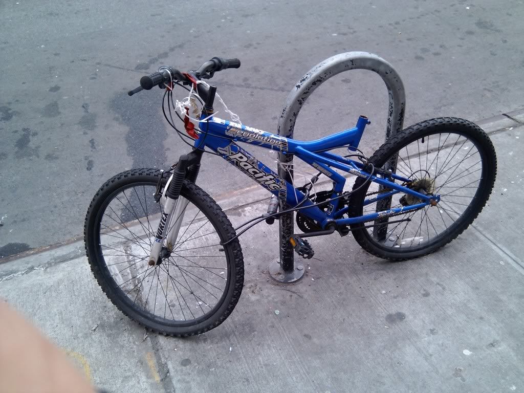 2010-01-11141434.jpg