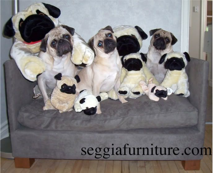 Pug Games