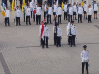 flags
