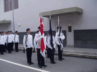flags2