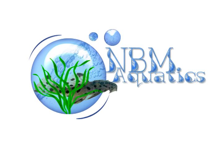  photo NBM Aquatics Logo_1.jpg