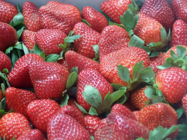strawberries photo: Strawberries Strawberries.jpg