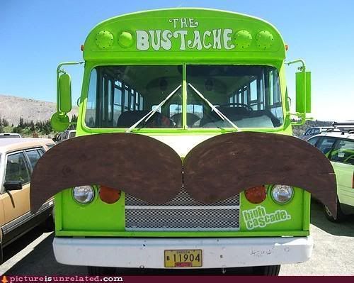 bustache.jpg