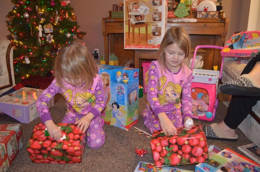  photo DSC_0047_zps9bb68b4e.jpg