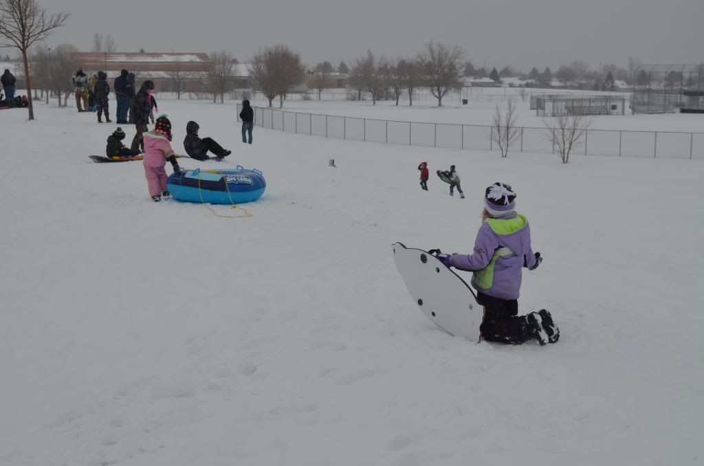  photo DSC_0212_zps8e1eea48.jpg