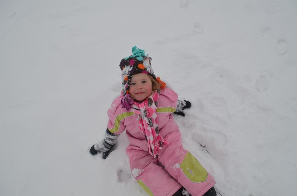  photo DSC_0231_zpsed1f21fd.jpg