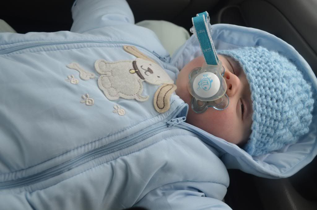  photo DSC_0237_zps72a20bbf.jpg