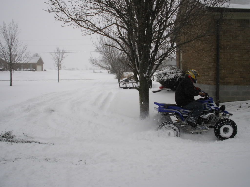 snow08002.jpg