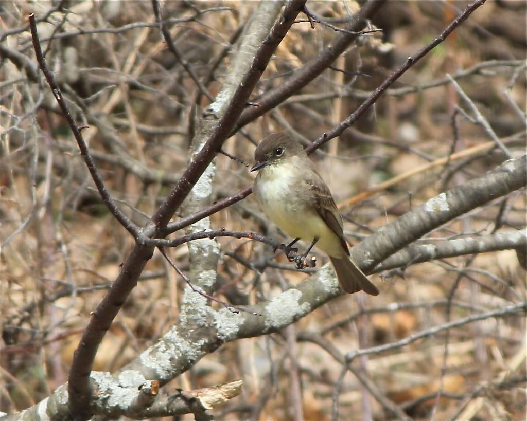 IMAGE: http://i252.photobucket.com/albums/hh36/itzmered/659d0ad4.jpg