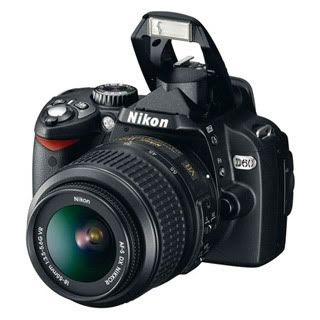 Nikon D60 Perspective Pictures, Images and Photos