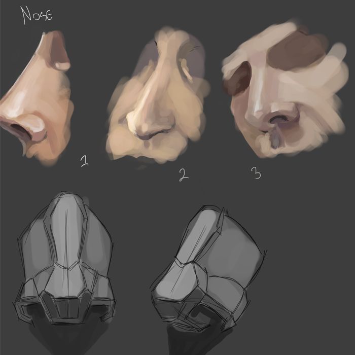 [Image: noses.jpg]