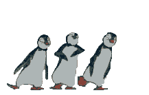 animated-avatar-dancingpenguins.gif