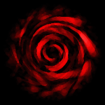 Rose1_Small.png