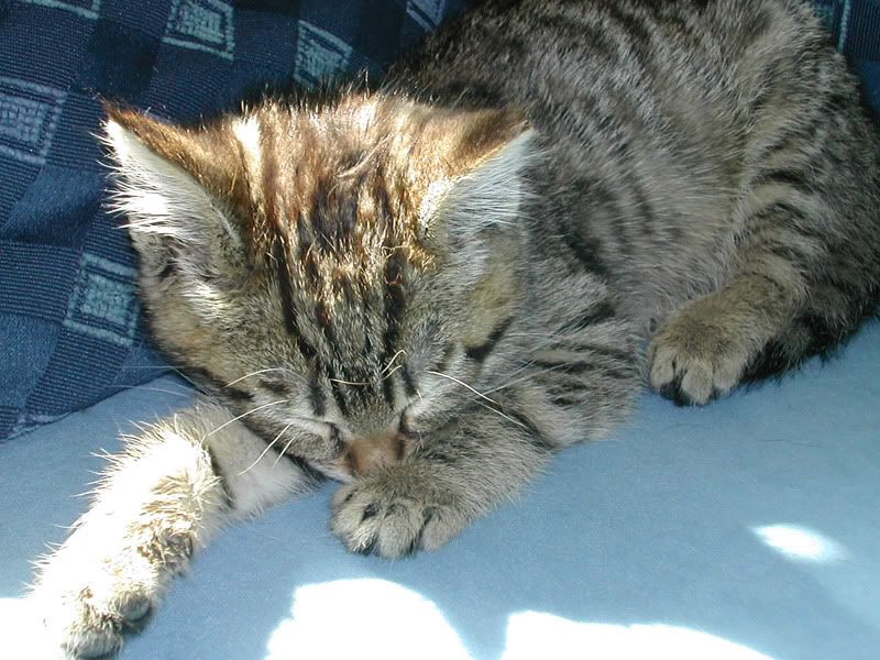 031020044k1.jpg