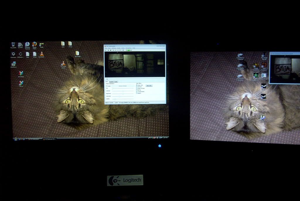 dual monitors cant match colors [H]ardForum