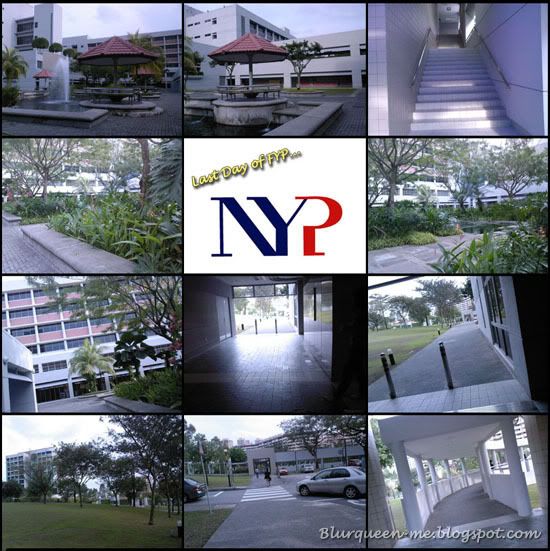 Last day of FYP in NYP