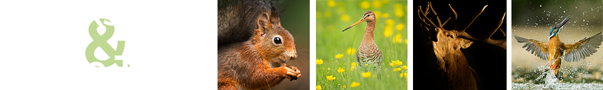  photo Banner_zpsdgdcngib.png