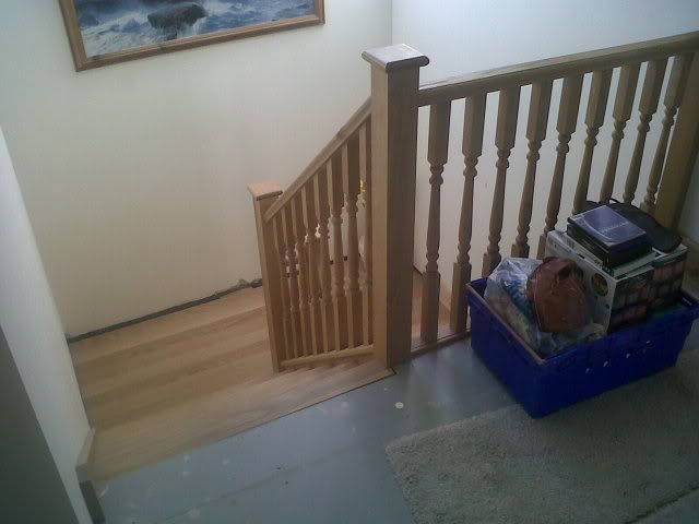 IMG00043-20110616-1638.jpg