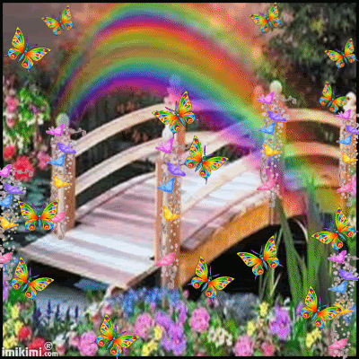 ButterflyRainbowBridge.gif