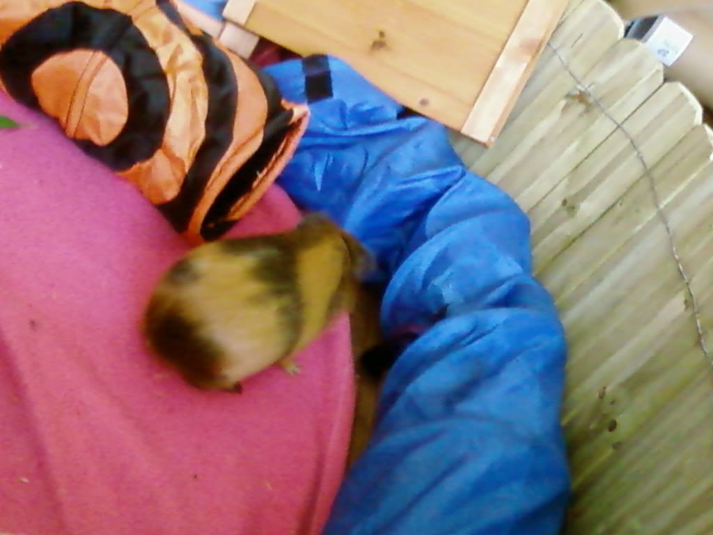 Photo-0145.jpg