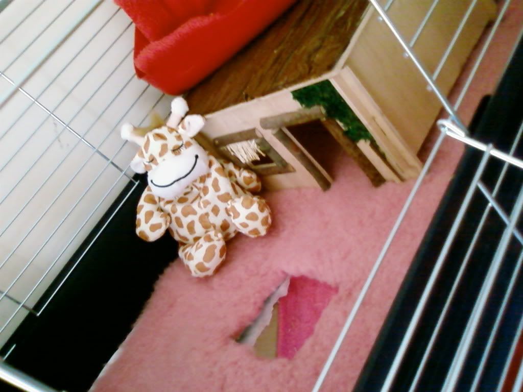 Photo-0159.jpg