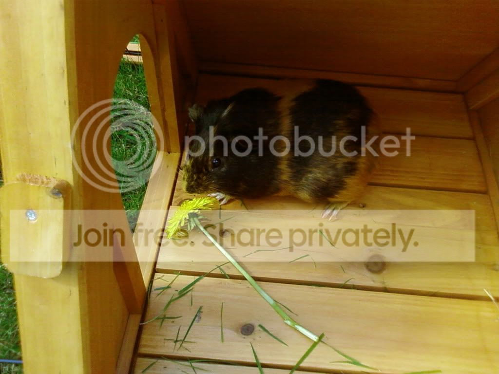 Photo-gjpt.jpg