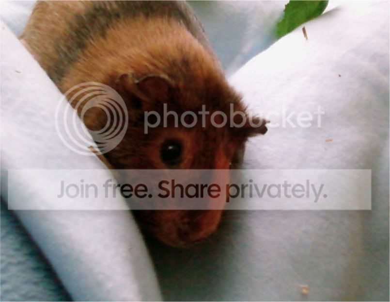 Photo-twm-1.jpg