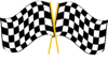 checkeredflags02-1.gif