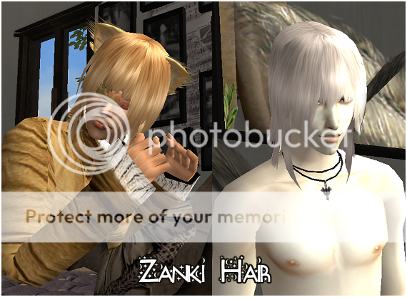 http://i252.photobucket.com/albums/hh16/M-sama/sims/zandor_zankiprev01.png