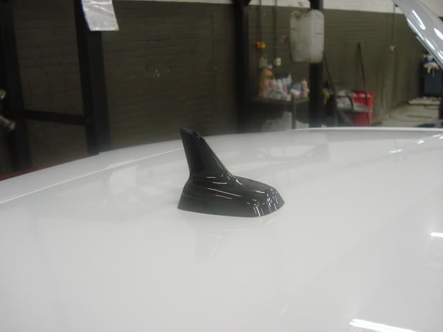 DSC00545.jpg