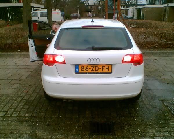 Mistlicht.jpg