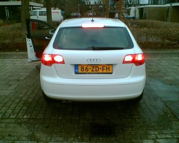 Remlicht-Mistlicht.jpg