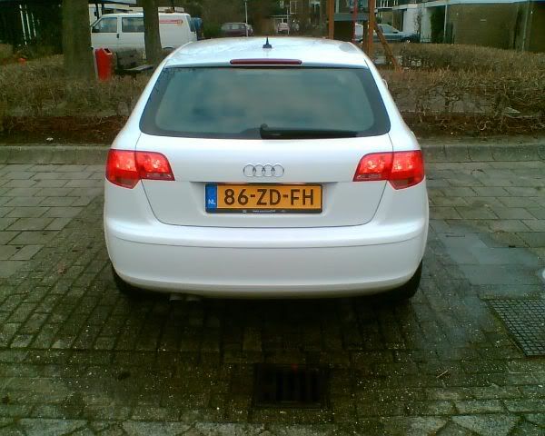 Standaard.jpg