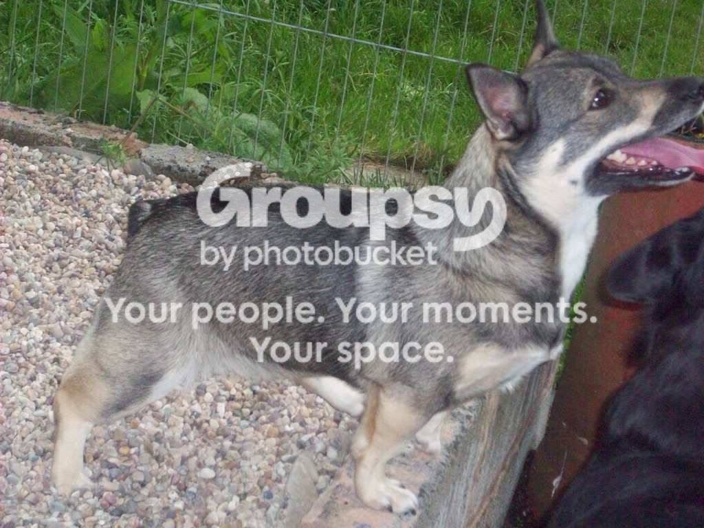 User Image